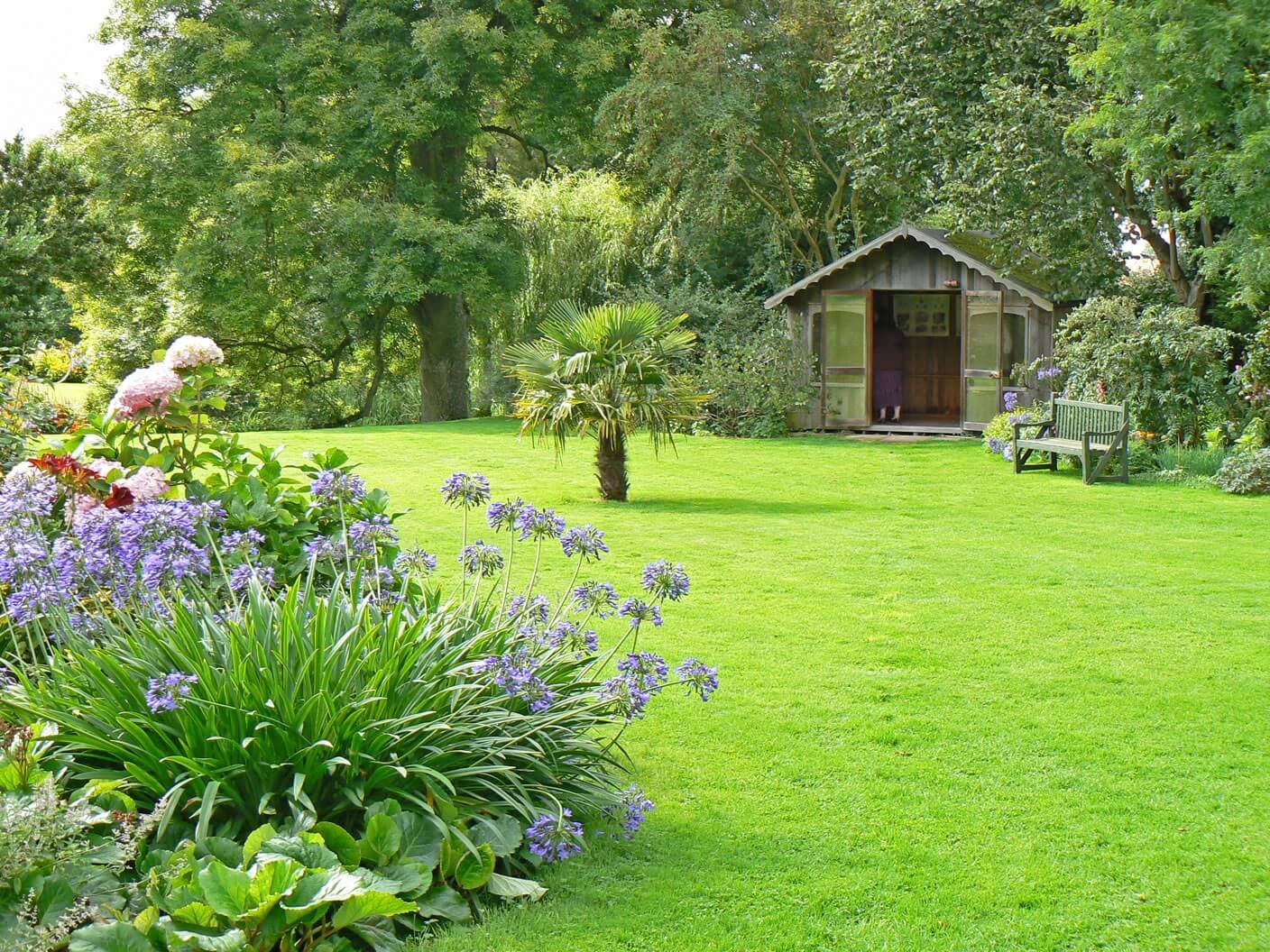 Lawn Wonders: Get Lush Greenery Near You!